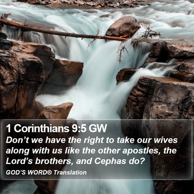 1 Corinthians 9:5 GW Bible Verse Image