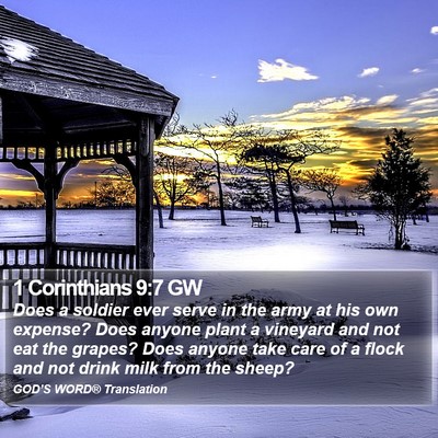 1 Corinthians 9:7 GW Bible Verse Image
