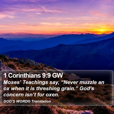 1 Corinthians 9:9 GW Bible Verse Image