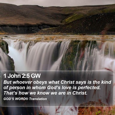 1 John 2:5 GW Bible Verse Image
