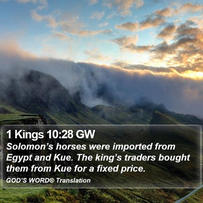1 Kings 10:28 GW Bible Verse Image