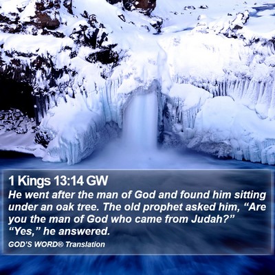 1 Kings 13:14 GW Bible Verse Image