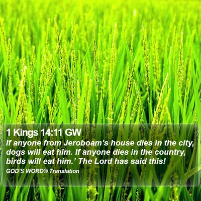 1 Kings 14:11 GW Bible Verse Image