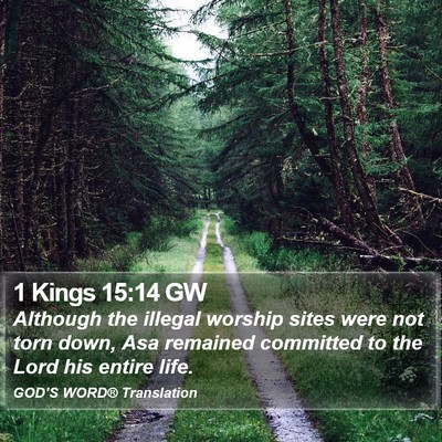 1 Kings 15:14 GW Bible Verse Image