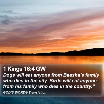 1 Kings 16:4 GW Bible Verse Image