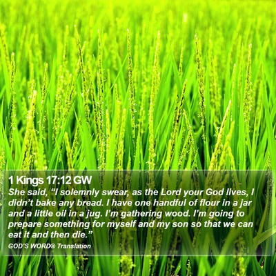1 Kings 17:12 GW Bible Verse Image