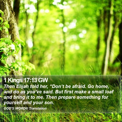 1 Kings 17:13 GW Bible Verse Image