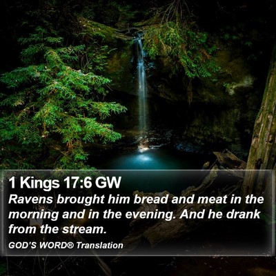 1 Kings 17:6 GW Bible Verse Image