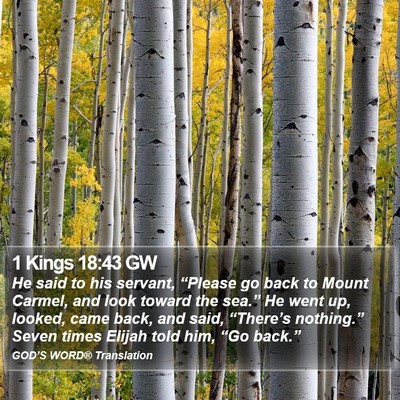 1 Kings 18:43 GW Bible Verse Image