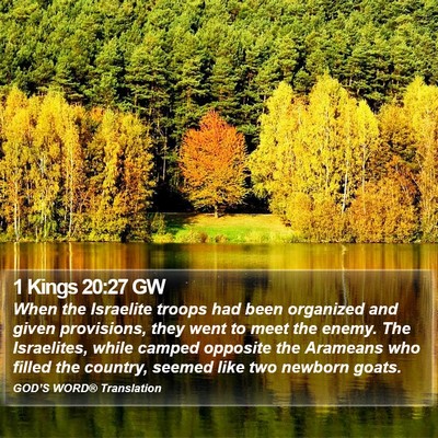 1 Kings 20:27 GW Bible Verse Image