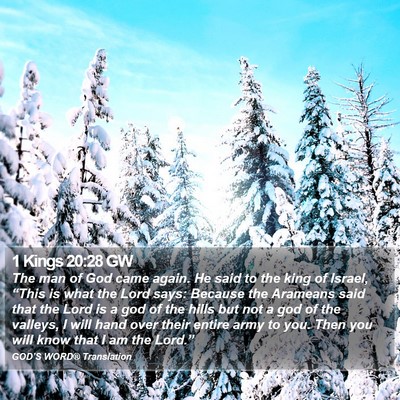 1 Kings 20:28 GW Bible Verse Image