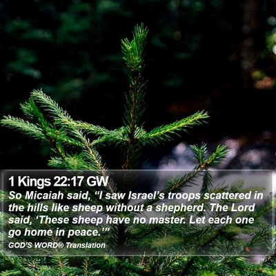 1 Kings 22:17 GW Bible Verse Image