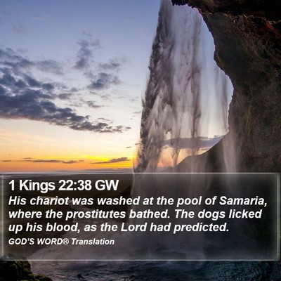 1 Kings 22:38 GW Bible Verse Image