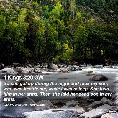 1 Kings 3:20 GW Bible Verse Image