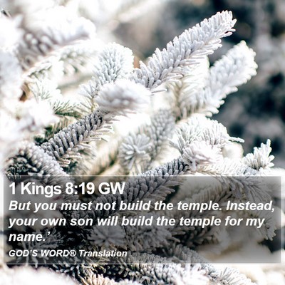 1 Kings 8:19 GW Bible Verse Image