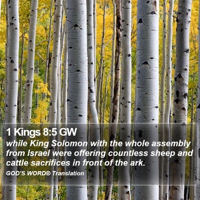 1 Kings 8:5 GW Bible Verse Image