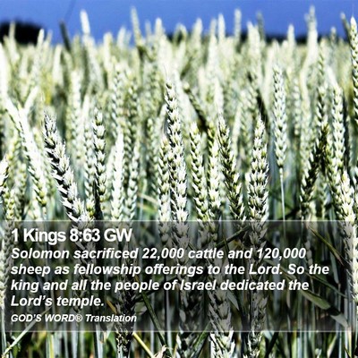 1 Kings 8:63 GW Bible Verse Image