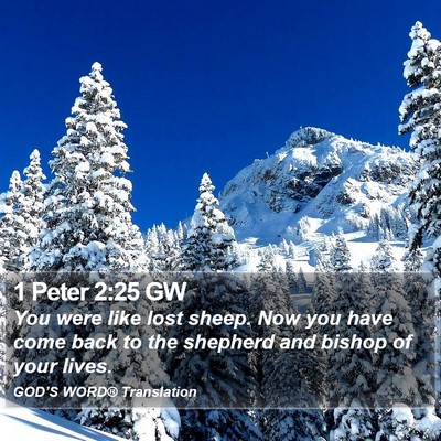 1 Peter 2:25 GW Bible Verse Image
