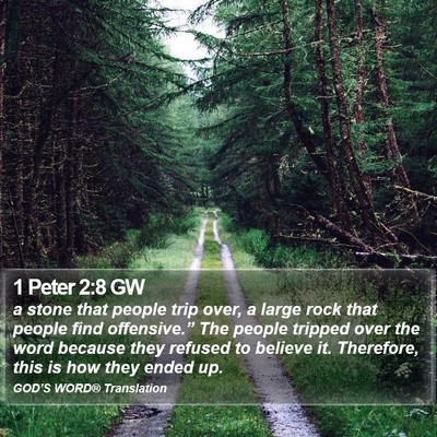 1 Peter 2:8 GW Bible Verse Image