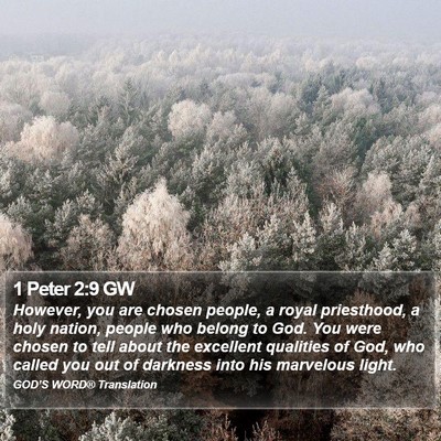 1 Peter 2:9 GW Bible Verse Image