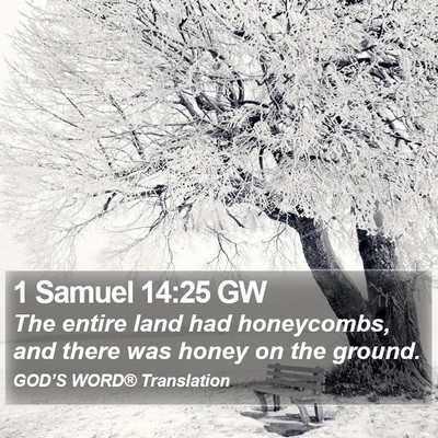 1 Samuel 14:25 GW Bible Verse Image