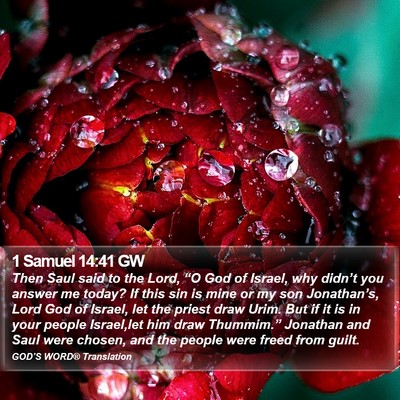 1 Samuel 14:41 GW Bible Verse Image