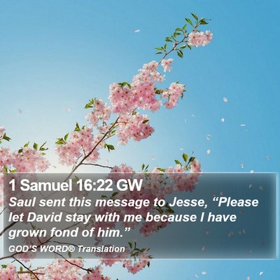 1 Samuel 16:22 GW Bible Verse Image