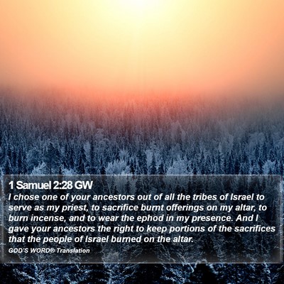 1 Samuel 2:28 GW Bible Verse Image