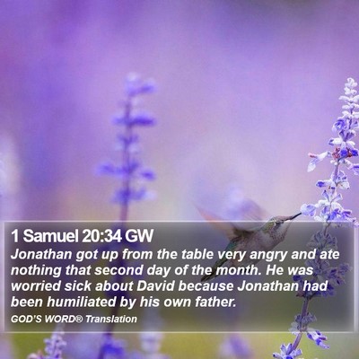 1 Samuel 20:34 GW Bible Verse Image