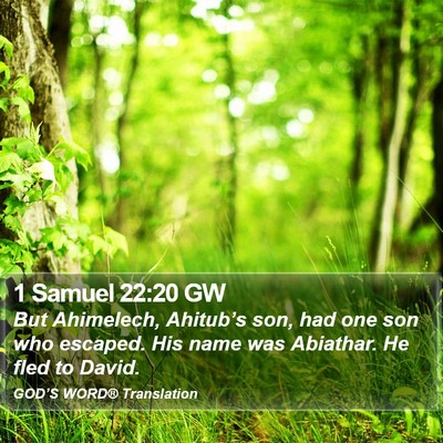 1 Samuel 22:20 GW Bible Verse Image