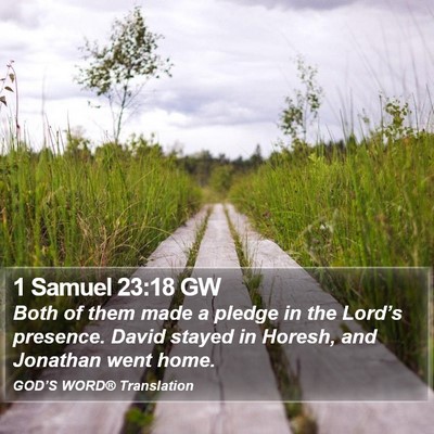 1 Samuel 23:18 GW Bible Verse Image