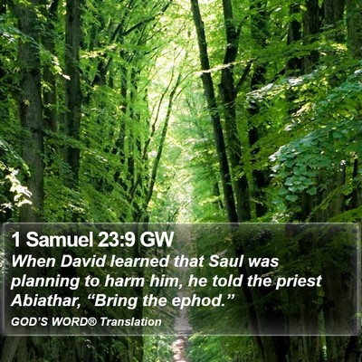 1 Samuel 23:9 GW Bible Verse Image