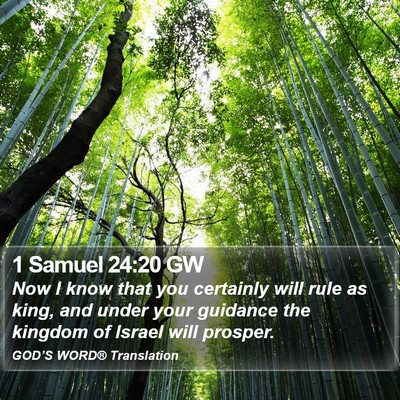 1 Samuel 24:20 GW Bible Verse Image