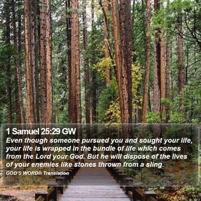 1 Samuel 25:29 GW Bible Verse Image