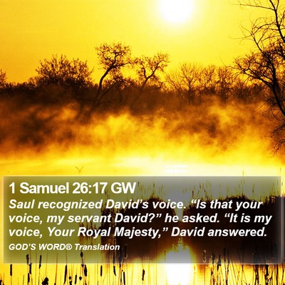 1 Samuel 26:17 GW Bible Verse Image