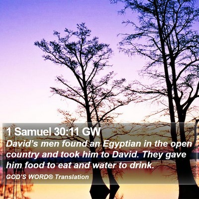 1 Samuel 30:11 GW Bible Verse Image