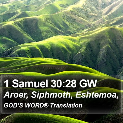 1 Samuel 30:28 GW Bible Verse Image