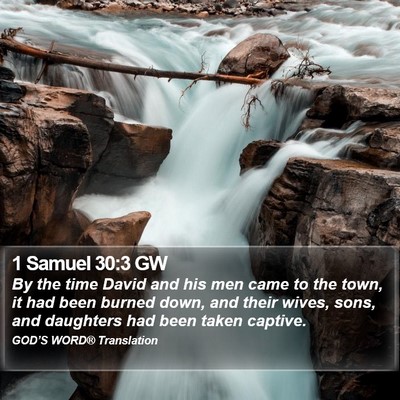 1 Samuel 30:3 GW Bible Verse Image