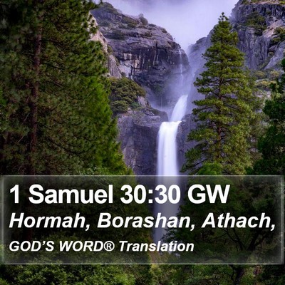 1 Samuel 30:30 GW Bible Verse Image