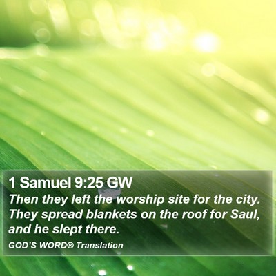 1 Samuel 9:25 GW Bible Verse Image