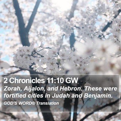 2 Chronicles 11:10 GW Bible Verse Image