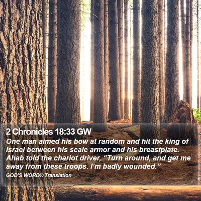 2 Chronicles 18:33 GW Bible Verse Image