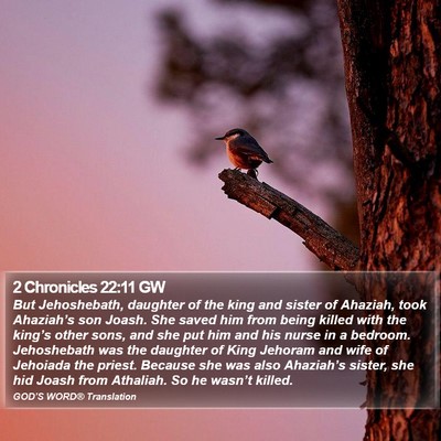 2 Chronicles 22:11 GW Bible Verse Image