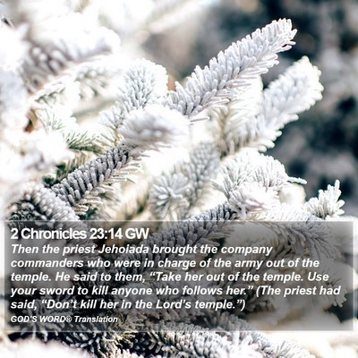 2 Chronicles 23:14 GW Bible Verse Image