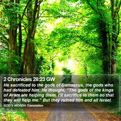 2 Chronicles 28:23 GW Bible Verse Image