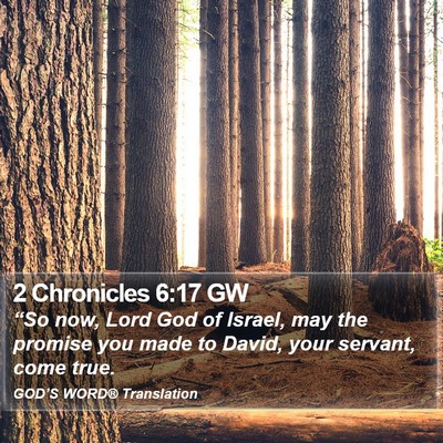 2 Chronicles 6:17 GW Bible Verse Image