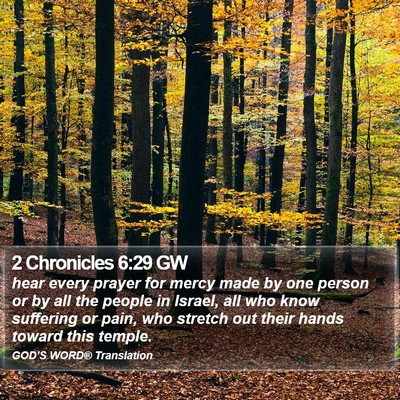 2 Chronicles 6:29 GW Bible Verse Image