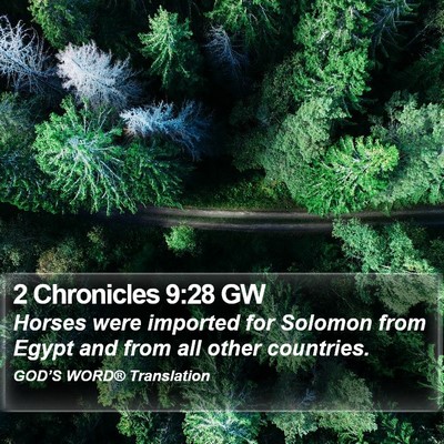 2 Chronicles 9:28 GW Bible Verse Image