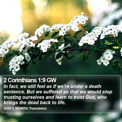 2 Corinthians 1:9 GW Bible Verse Image
