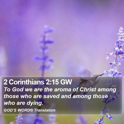 2 Corinthians 2:15 GW Bible Verse Image